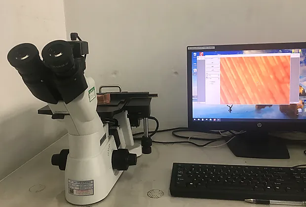 Metallographic microscope